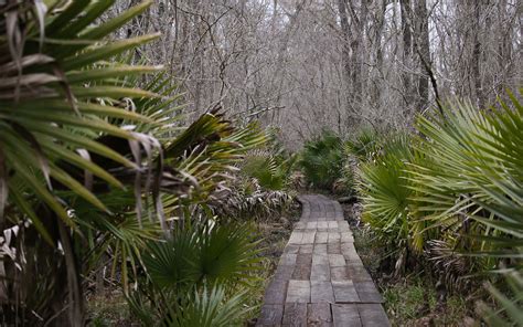 jean lafitte national historical park & preserve.